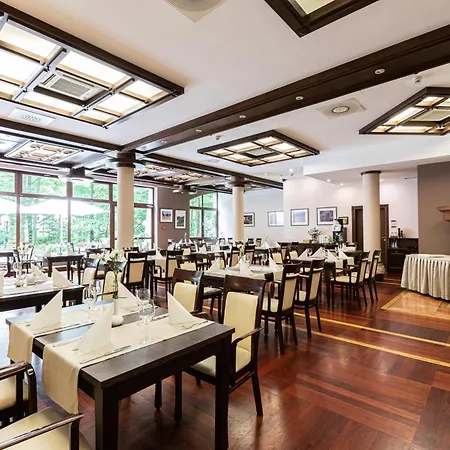 크로쿠스 자코파네