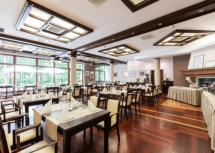 Crocus זקופאנה