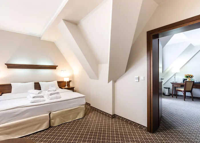 Crocus זקופאנה